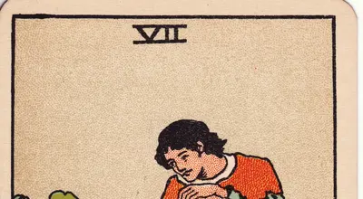 Seven of Pentacles